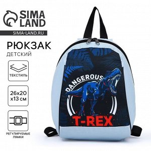 Рюкзак школьный детский для мальчика «Динозавр», 20x13x26, на молнии, голубой