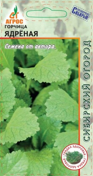 Горчица Ядреная (Код: 92140)