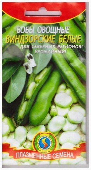 Бобы Виндзорские белые (Код: 74436)