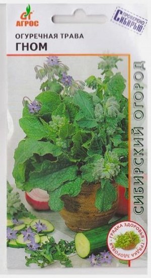 Огуречная трава Гном (Код: 67767)