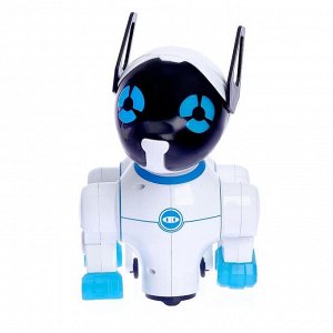 Игрушка-робот «Кошечка», работает от батареек, световые и звуковые эффекты, танцует, МИКС