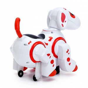 Игрушка-робот «Собака», работает от батареек, световые и звуковые эффекты, танцует, цвета МИКС