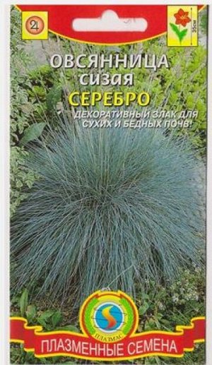 Овсяница Сизая Серебро (Код: 81022)