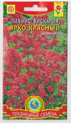 Лихнис вискария Ярко-красный (Код: 75970)