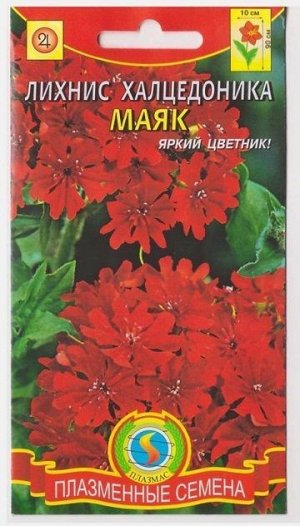 Лихнис Халцедоника Маяк (Код: 75971)
