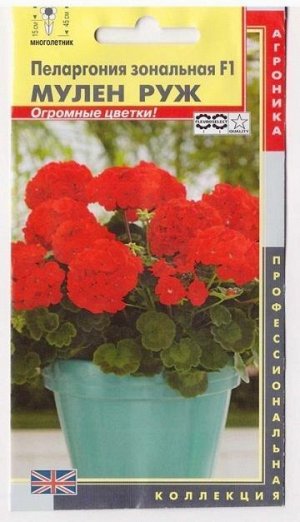 Пеларгония зон. Мулен Руж F1 (Код: 74662)