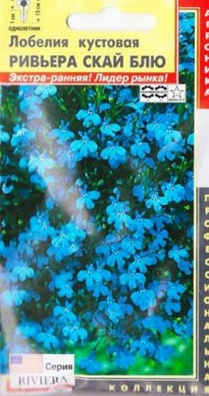Лобелия Ривьера Скай Блю (Код: 83339)