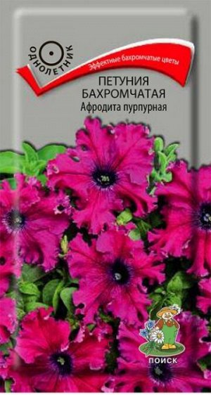 Петуния Афродита Пурпурная (Код: 81970)