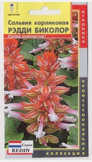 Сальвия Рэдди Биколор (Код: 74702)