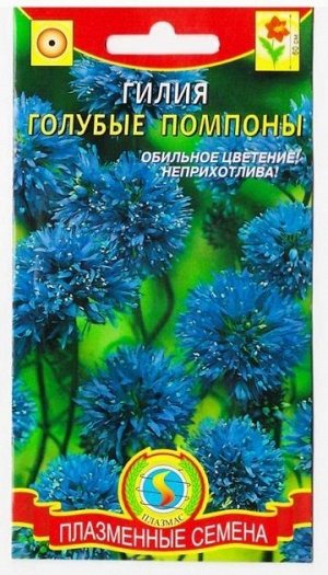 Гилия Голубые помпоны (Код: 75189)