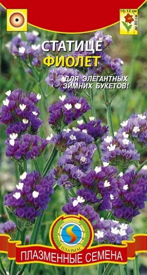 Статица Фиолет (Код: 91580)