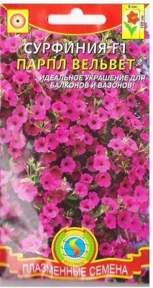Сурфиния Парпл Вельвет F1 (Код: 75409)