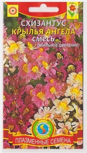 Схизантус Крылья Ангела смесь (Код: 76111)