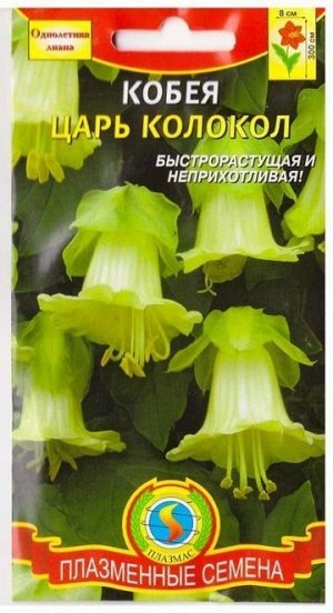 Кобея Царь Колокол (Код: 75254)