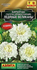 Бархатцы Ледяные великаны (Код: 90980)