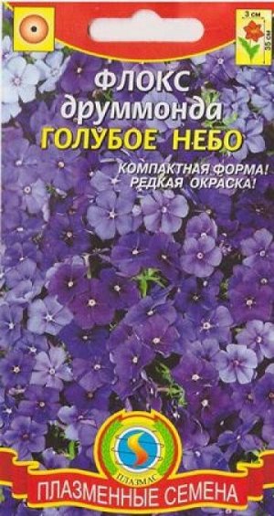 Флокс Голубое Небо (Код: 81734)