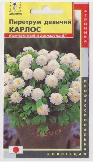 Пиретрум девичий Карлос (Код: 75723)