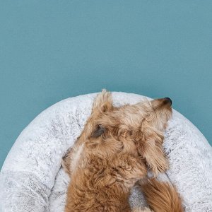 UTSÅDD, Лежанка для домашних животных, светло-серая, М