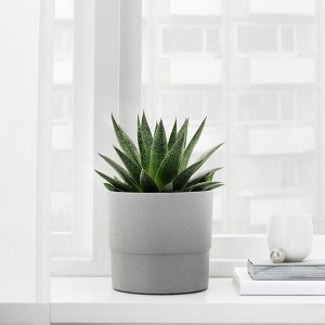 NYPON, Цветочный горшок, внутренний/уличный, серый, 15 см
