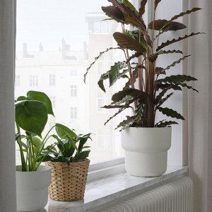 FÖRENLIG, горшок для растений, внутри /напольный, белый, 19 см