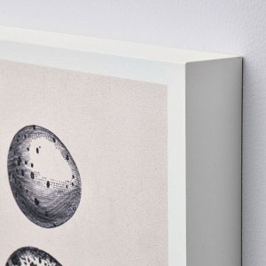 БЬЕРНАМО, художественная гравюра на поломанном дереве, яйца, 20x30 см