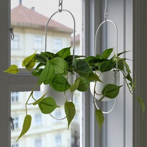 ФЕЙКА, искусственное растение в горшке