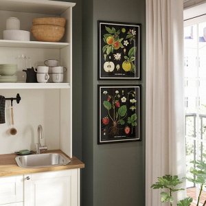 РУЧКА, рамка с плакатом, винтажные ботанические карты фруктов, 40x50 см