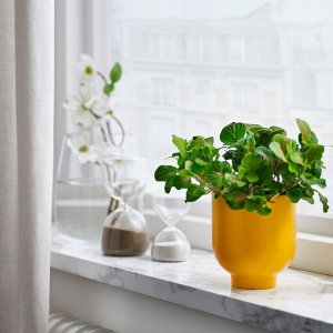 DRMSK, горшок для растений, ярко-желтый, 9 см