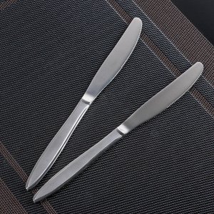 Набор ножей столовых «Перо», h=20 см, 2 шт