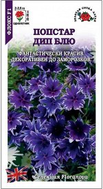 Флокс Попстар Дип Блю /Сотка/ 5шт/ h-25-30см d-2,5см/*500
