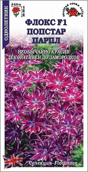 Флокс Попстар Парпл /Сотка/ 5шт/ h-25-30см d-2,5см/*500