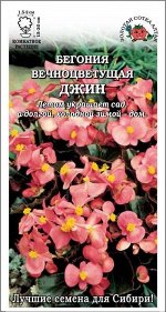 Ком: Бегония вечноцветущая Джин /Сотка/ 5 шт НОВИНКА!/*500
