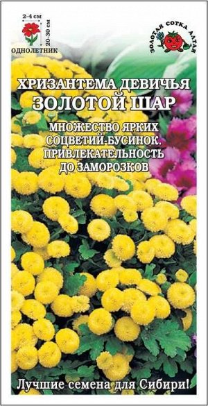 Хризантема Золотой шар /Сотка/ 0,05г/ девичья желт. h-30см, d-4см/*1500