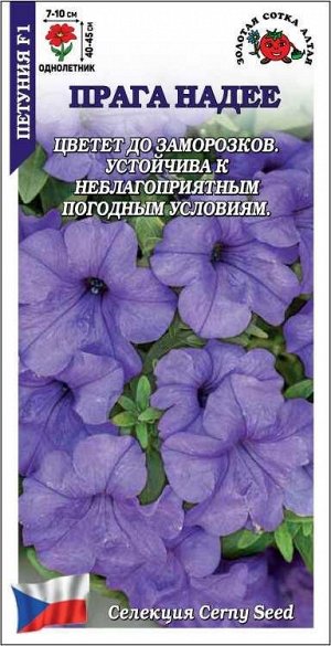 Петуния Прага Надее F1 /Сотка/ 10шт/ голуб. h-45см d-10см/*500