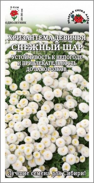 Хризантема Снежный шар /Сотка/ 0,05г/ бел. махр. девичья h-30см, d-4см/*1800