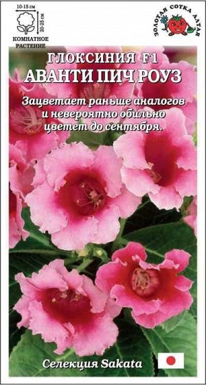 Ком: Глоксиния Аванти Пич Роуз F1 /Сотка/ 5шт/ роз. h-25см d-15см Sakata/*500