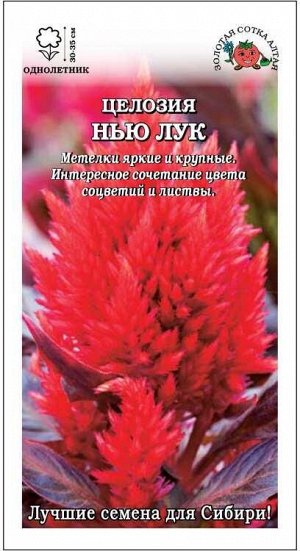 Целозия Нью Лук /Сотка/ 10шт/ перист. красн., бронз.лист h-35см/*500