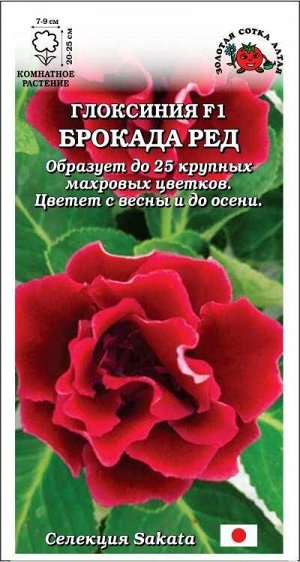 Ком: Глоксиния Брокада Ред F1 /Сотка/ 5шт/ красн. махр. h-25см d-9см Sakata/*500