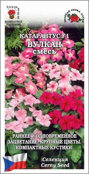 Ком: Катарантус Вулкан микс /Сотка/ 7шт/ h+25-30см d-5,5-6 см /*500