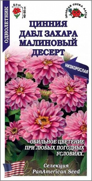 Цинния Дабл Захара Малиновый Десерт /Сотка/ 5шт/*