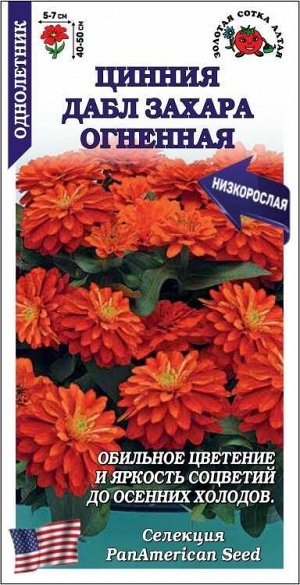 Цинния Дабл Захара Огненная  /Сотка/ 5 шт/*