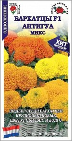 Бархатцы Антигуа микс F1 /Сотка/ 5шт/ прям. 30см, d-15см/*1500