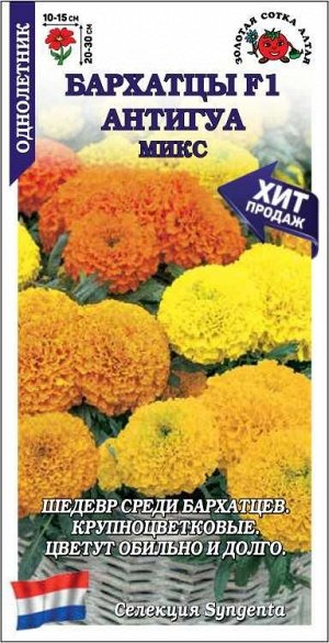 Бархатцы Антигуа микс F1 /Сотка/ 5шт/ прям. 30см, d-15см/*1500