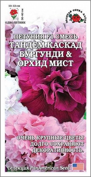 Петуния Тандем Каскад Бургунди & Орхид Мист /Сотка/ 10шт/ махр. h-40см d-12см PanAm/*500