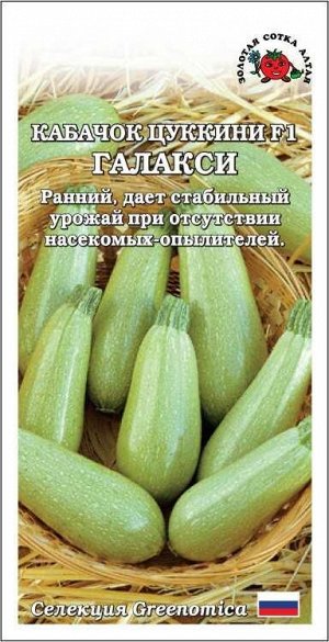 Кабачок Галакси F1 /Сотка/ 5шт/ цуккини куст. 300-350г светл. зелен. /*800