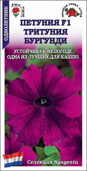 Петуния Тритуния Бургунди /Сотка/ 10шт/ (Сингента)/*500