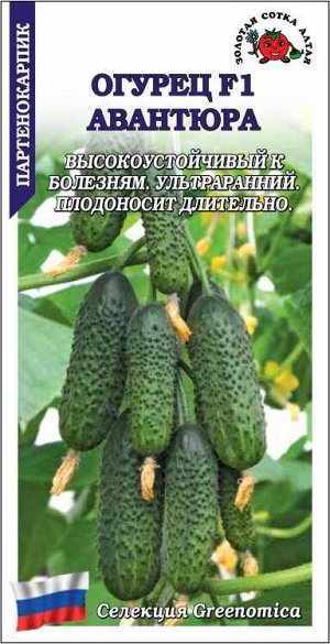 Огурец Авантюра F1 /Сотка/ 5шт/ партен.ультраран. 10-12см/*1500