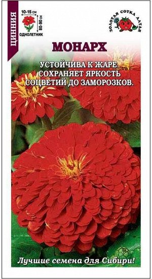 Цинния Монарх /Сотка/ 0,2г/ красн. h-90см, d-15см /*1200