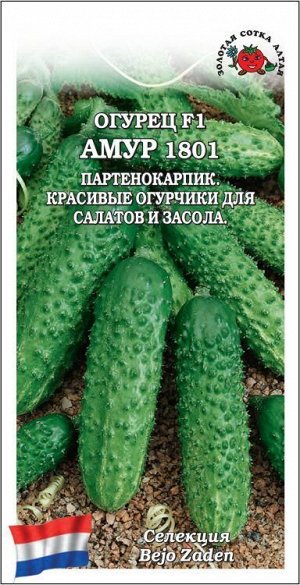 Огурец Амур 1801 F1 /Сотка/ 5шт/ партен. до 9,5см Bejo/*1500
