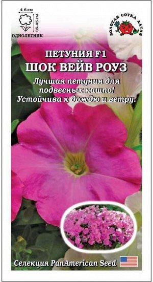 Петуния Шок вейв Роуз F1 /Сотка/ 5шт/ h-45cм d-6см PanAm/*500